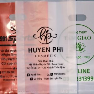 Túi quai Xoài có in