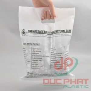 In túi quai Xoài (1)