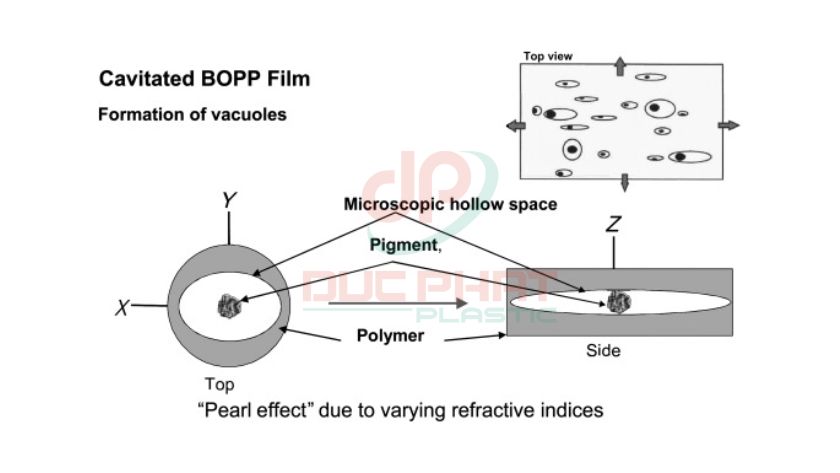 Sơ đồ minh họa cấu trúc 3 lớp của màng BOPP gồm lớp lõi polypropylene và hai lớp da chức năng, kèm định hướng phân tử hai chiều.