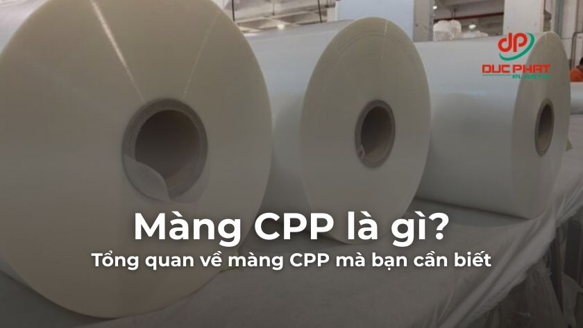 Màng CPP là gì